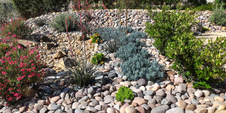 Water efficient landscaping