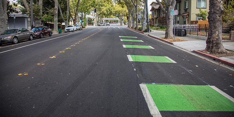 Tree lined street on an overcast day