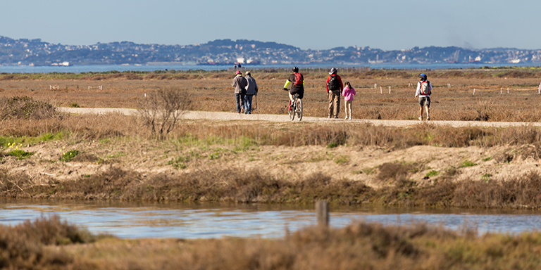 People walking along the Hayward Shoreline on a sunny day