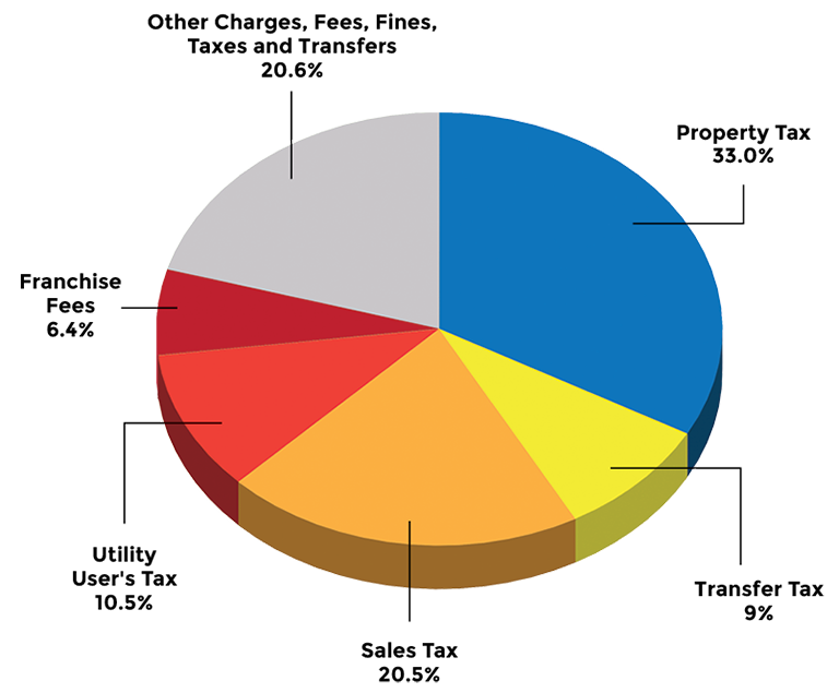 Brightly colored pie chart that shows revenue by type