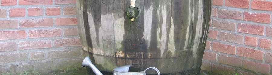 Rain Barrel