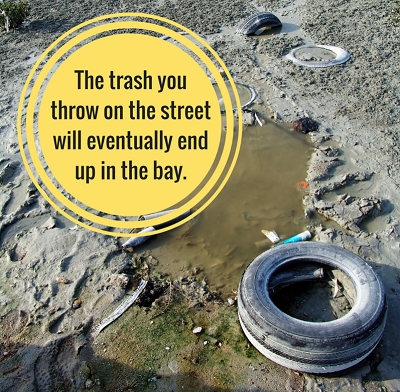 No trash in the bay
